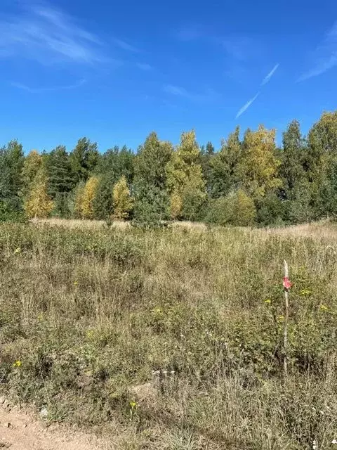 Участок в Новгородская область, Валдайский район, Едровское с/пос, с. ... - Фото 0