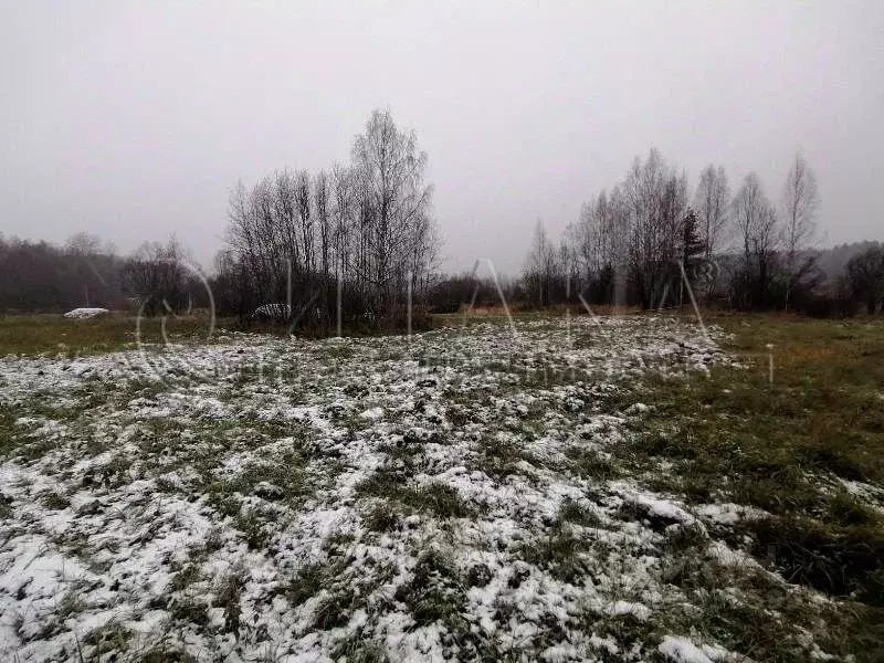 Участок в Ленинградская область, Выборгский район, Каменногорское ... - Фото 0
