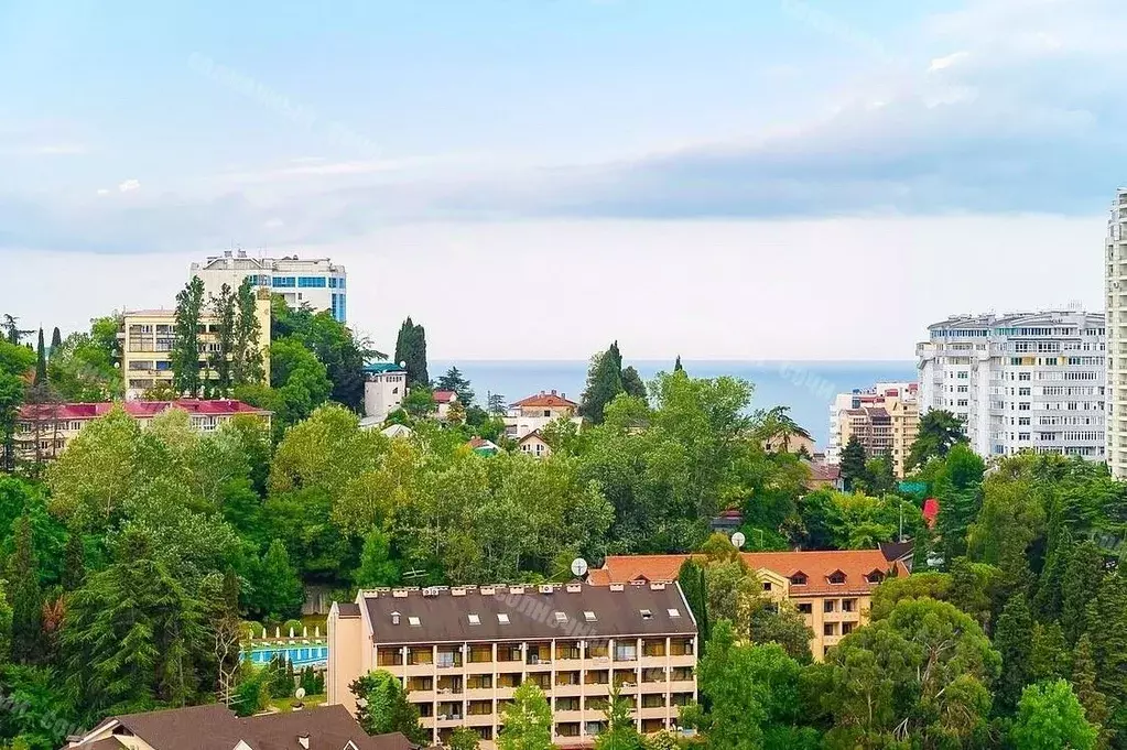 2-к кв. Краснодарский край, Сочи Центральный мкр, пер. Горького, 24к1 ... - Фото 2