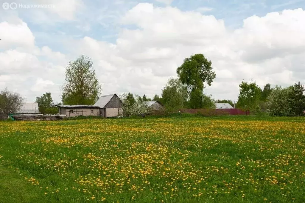 Дом в Московская область, городской округ Ступино, деревня Родоманово, ... - Фото 2