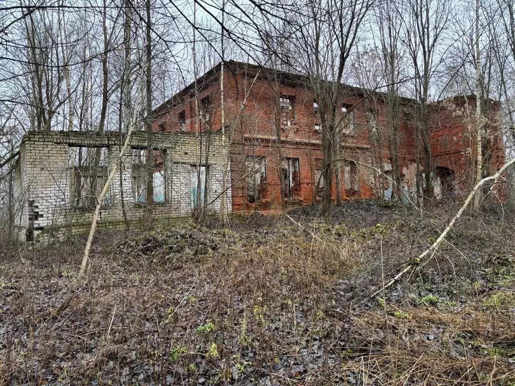 Участок в Владимирская область, Гороховецкий муниципальный округ, д. ... - Фото 1