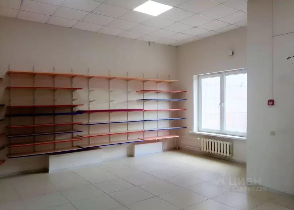 Помещение свободного назначения в Краснодарский край, Новороссийск ... - Фото 2