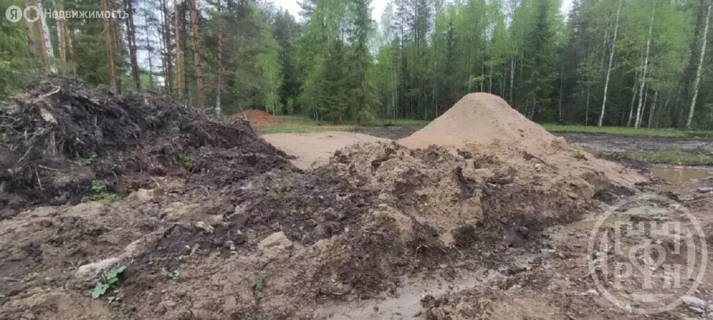 Участок в Ломоносовский район, Лебяженское городское поселение, ... - Фото 2