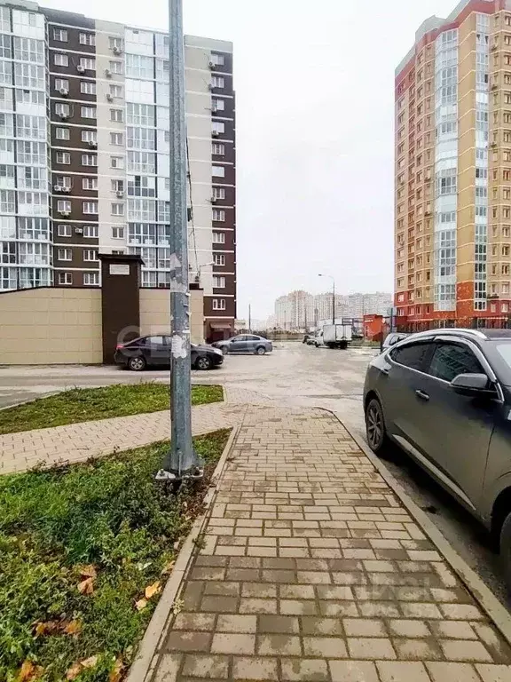 1-к кв. Липецкая область, Липецк ул. И.В. Свиридова, 10 (54.3 м) - Фото 1