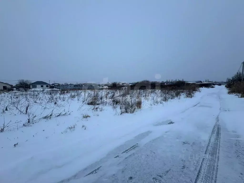 Участок в Курская область, Курский район, Рышковский сельсовет, ... - Фото 1