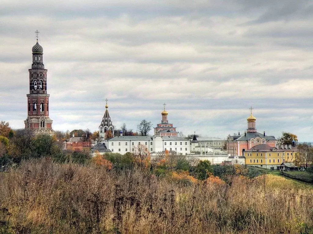 Участок в Рязанская область, Рыбновский район, с. Пощупово ул. ... - Фото 1