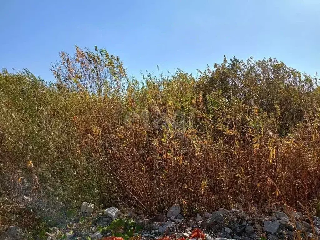 Участок в Тюменская область, Тюмень Матрешка СНТ, ул. Листопадная, 17 ... - Фото 2