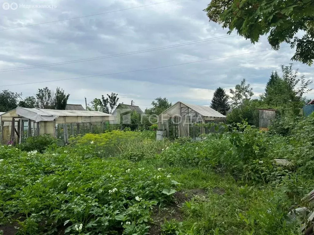 Дом в Новосибирский район, Верх-Тулинский сельсовет, садовое ... - Фото 1