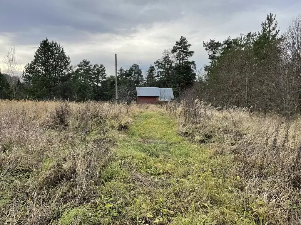 Участок в Владимирская область, Кольчугинский муниципальный округ, д. ... - Фото 1