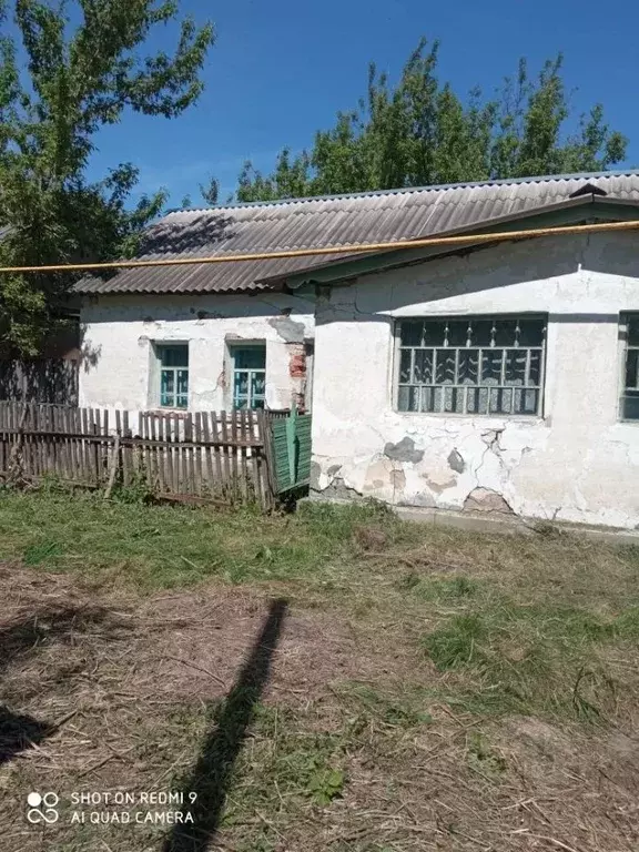 Дом в Рязанская область, Скопинский муниципальный округ, д. Свинушки ... - Фото 2