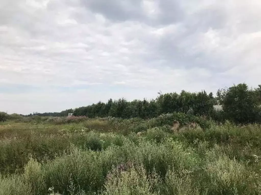 Участок в Ленинградская область, Всеволожский район, Щегловское с/пос  ... - Фото 2