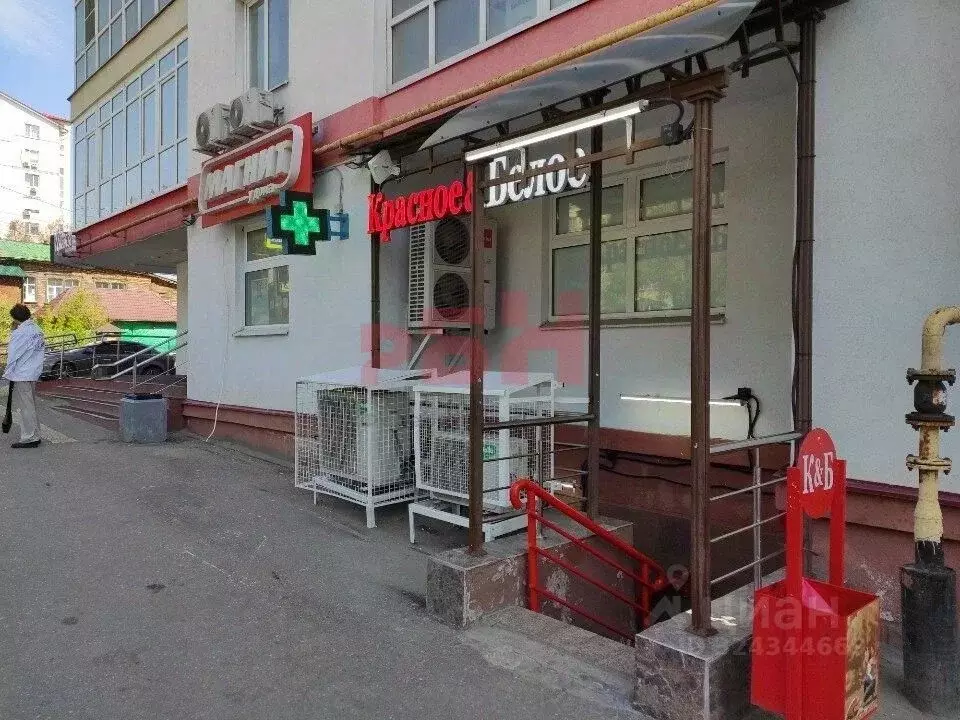 Торговая площадь в Пензенская область, Пенза ул. Чкалова (114 м) - Фото 2