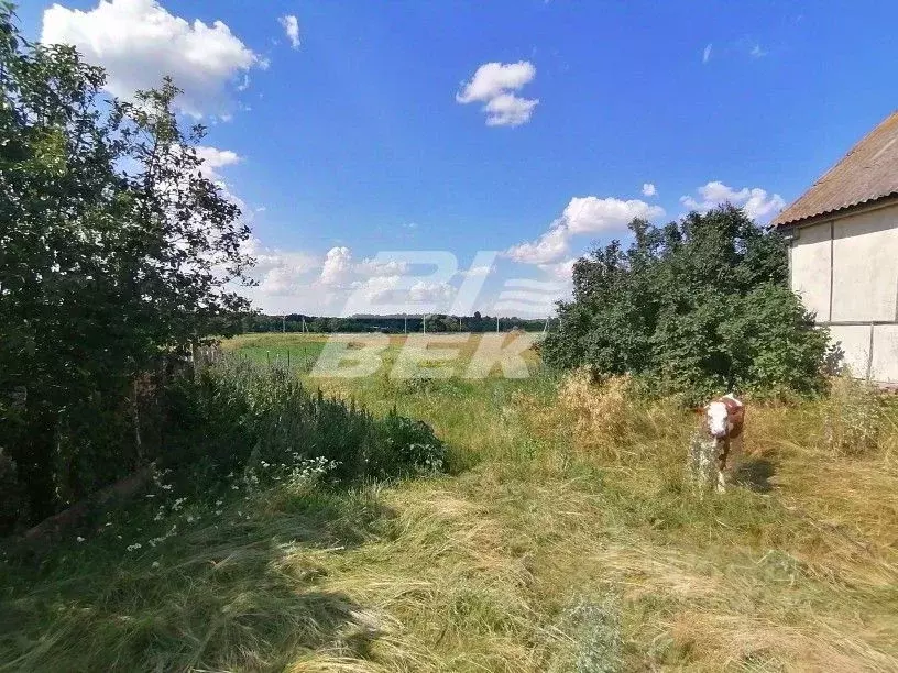 Дом в Курская область, Курский район, Шумаковский сельсовет, с. ... - Фото 1