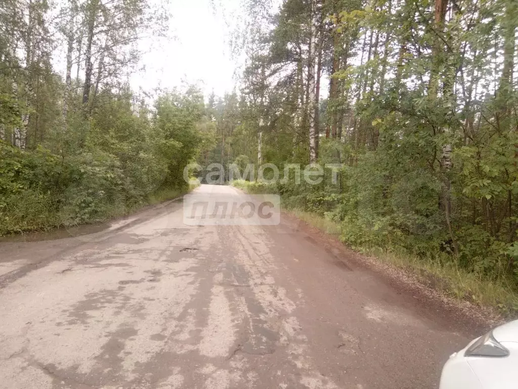 Участок 12 сот. (СНТ, ДНП) - Фото 0