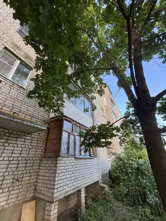 1-к кв. Владимирская область, Александров ул. Топоркова, 1 (36.0 м) - Фото 0