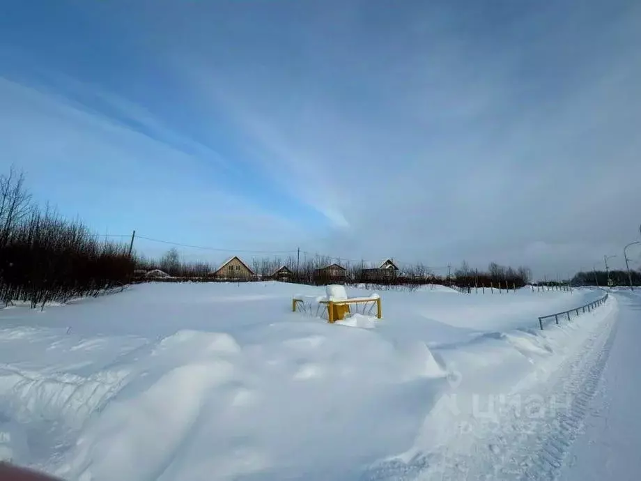 Участок в Пермский край, Усолье Усольский район, ул. Детства, 11 ... - Фото 0
