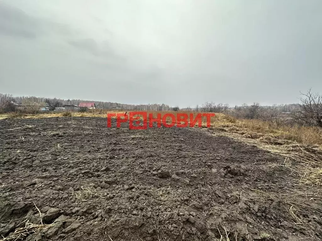 Участок в Новосибирская область, Ордынский район, с. Кирза Боровая ... - Фото 1