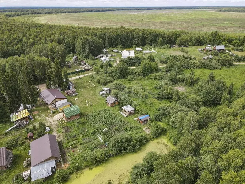 Участок в Тюменская область, Нижнетавдинский район, д. Аракчина  (5.85 ... - Фото 0