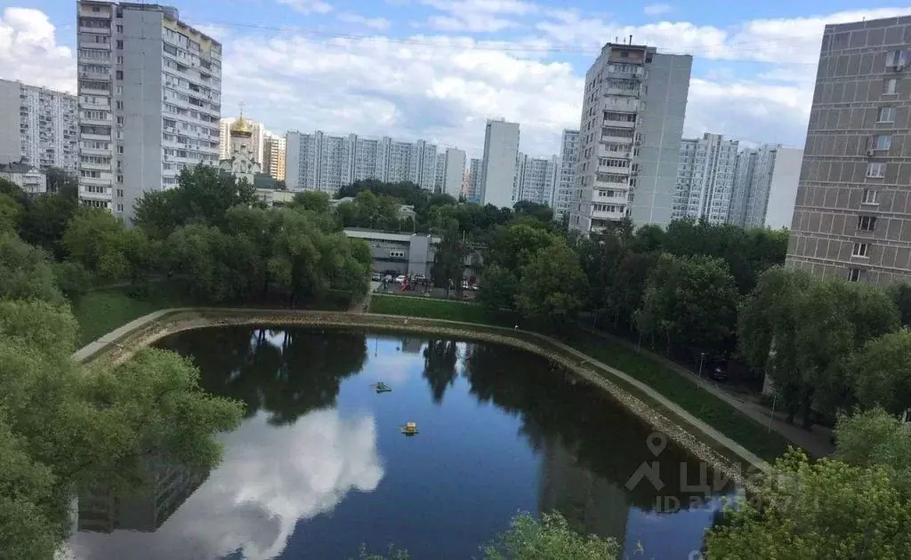 Комната Москва Мичуринский просп., 46 (16.0 м) - Фото 2