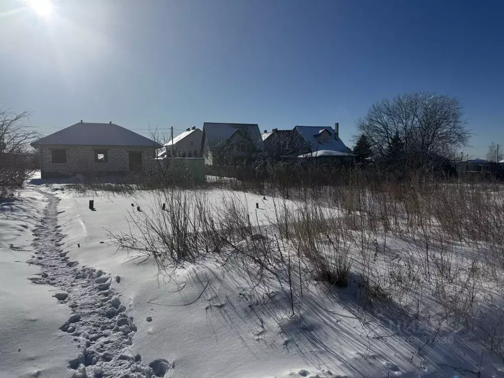 Участок в Калининградская область, Светлогорский городской округ, пос. ... - Фото 0
