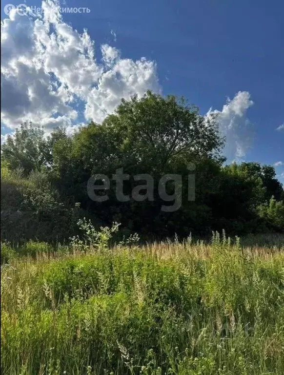 Участок в Вологодская область, Кириллов (145 м) - Фото 1