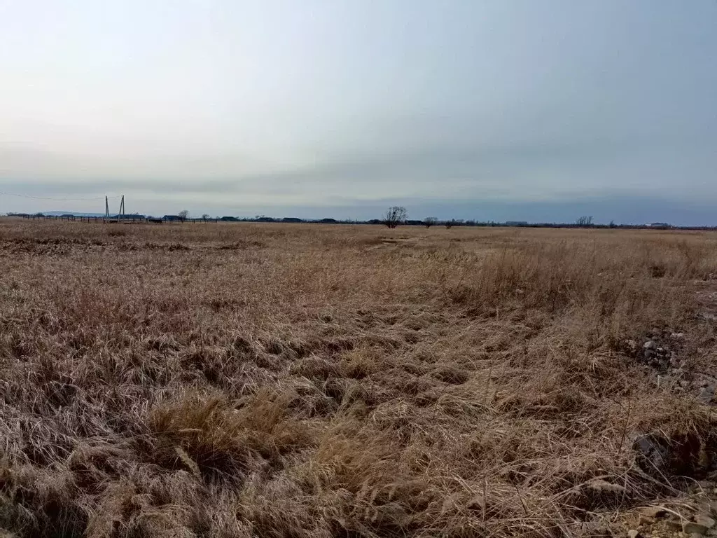 Участок в Приморский край, с. Михайловка ул. Мира (15.0 сот.) - Фото 0
