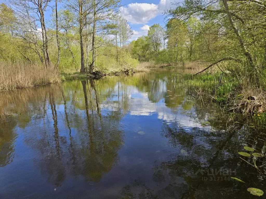 Участок в Псковская область, Невельский муниципальный округ, д. ... - Фото 1