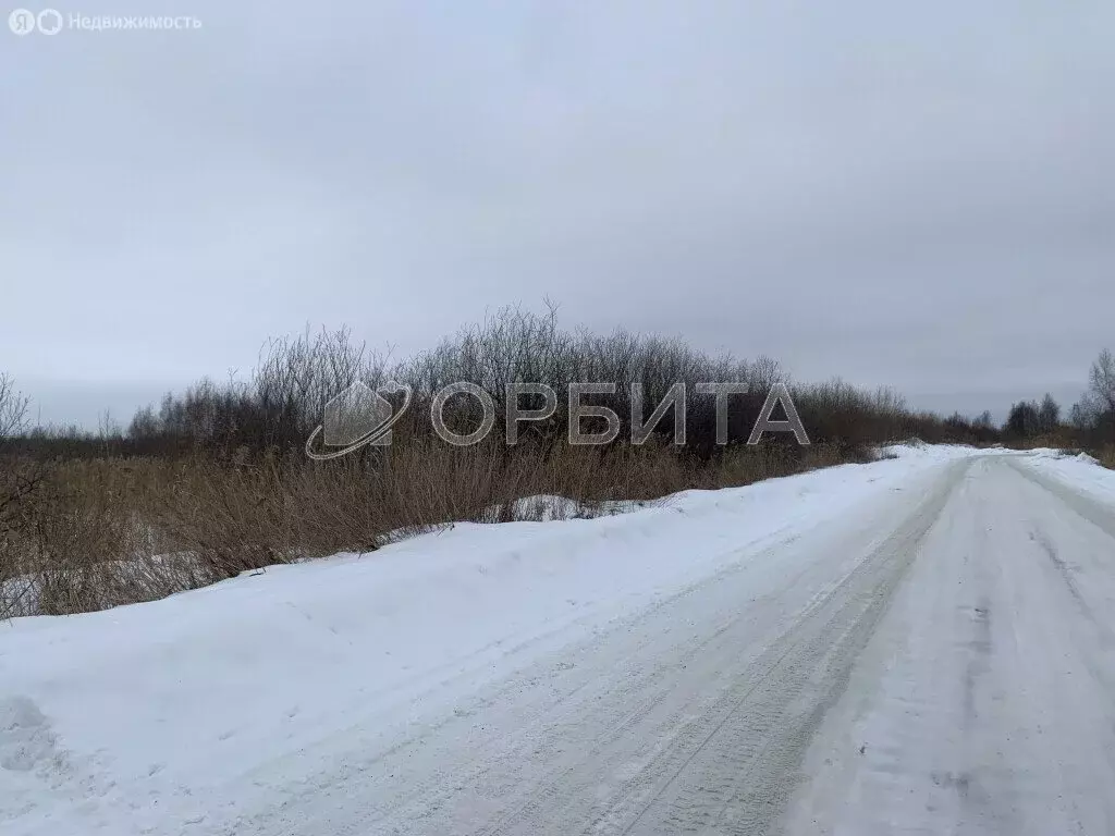 Участок в Тюмень, садовое товарищество Берёзка (10 м) - Фото 1