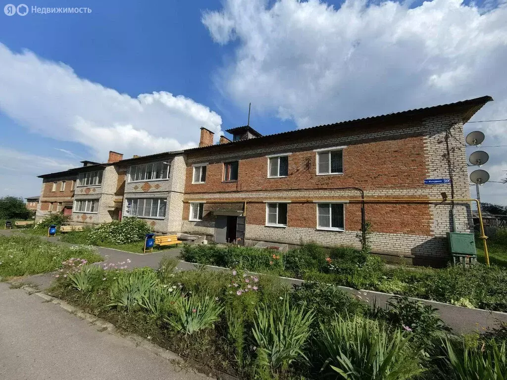 1-комнатная квартира: Октябрьский, улица Мичурина, 27 (40.8 м) - Фото 0