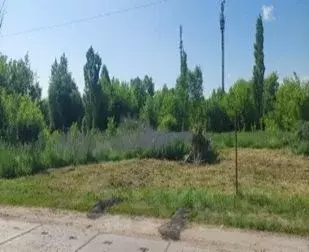 Участок в Тамбовская область, Первомайский рп ул. Советская (6.2 сот.) - Фото 1