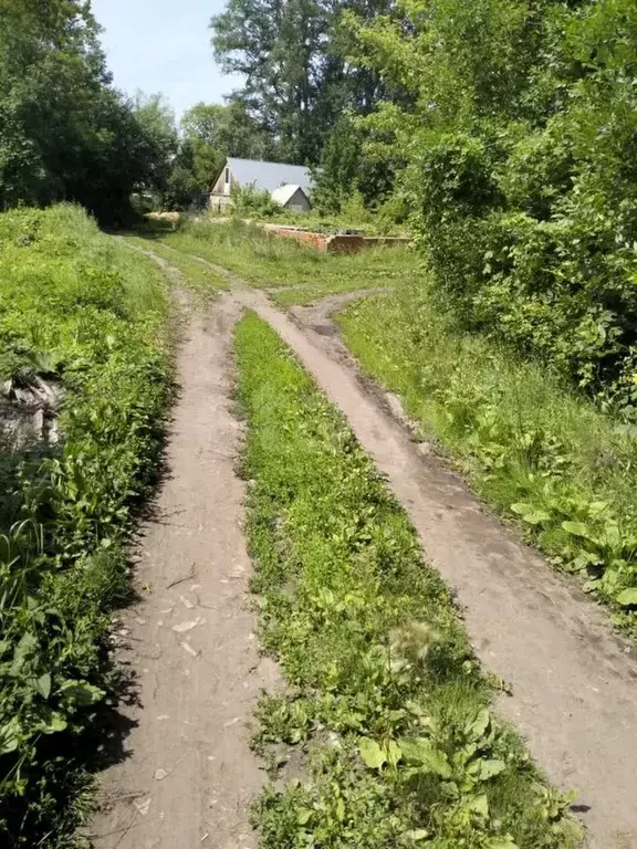 Участок в Мордовия, пос. Ромоданово ул. Степана Разина (1500.0 сот.) - Фото 1