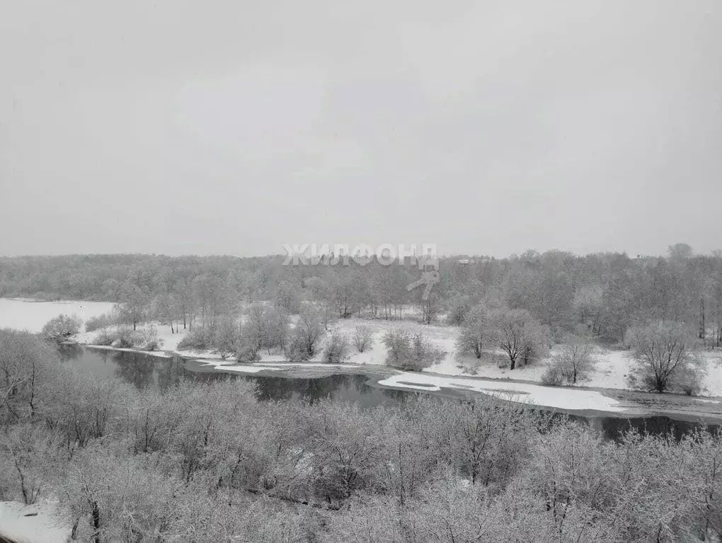 3-к кв. Московская область, Орехово-Зуево Набережная ул., 17 (57.1 м) - Фото 1