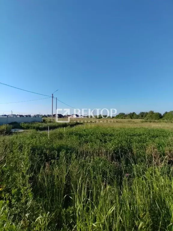 Участок в Костромская область, Кострома проезд Ситцевый (10.0 сот.) - Фото 1