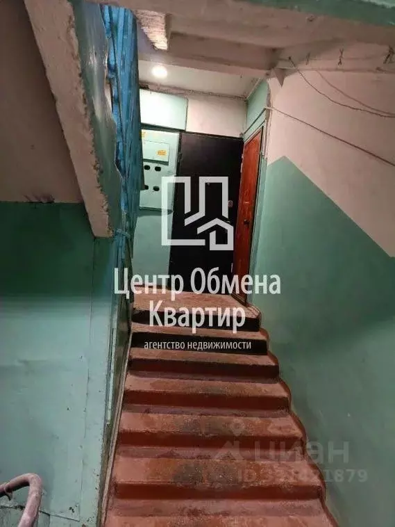 2-к кв. Иркутская область, Иркутск бул. Рябикова, 50 (42.5 м) - Фото 2