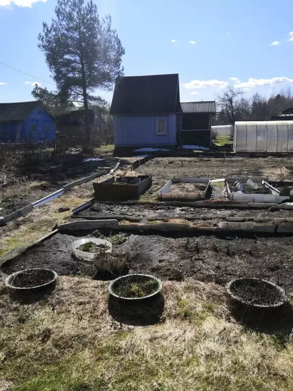 Дом в Владимирская область, Камешковский муниципальный округ, Дальний ... - Фото 2