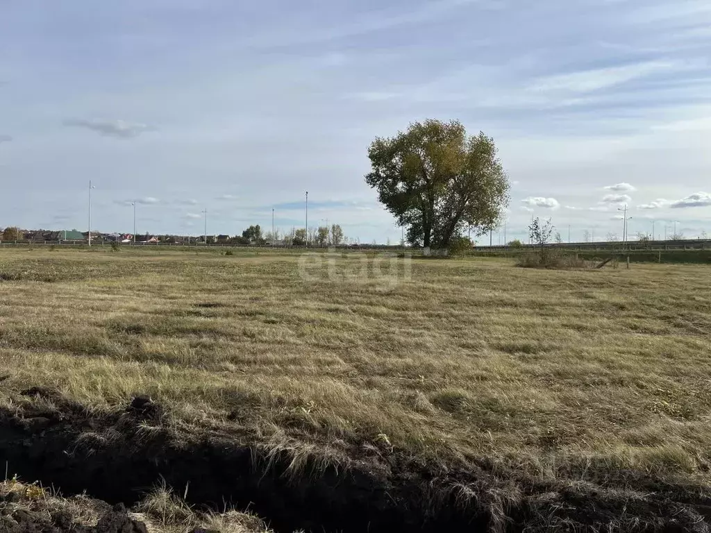 Участок в Белгородская область, Белгородский район, Новосадовское ... - Фото 1