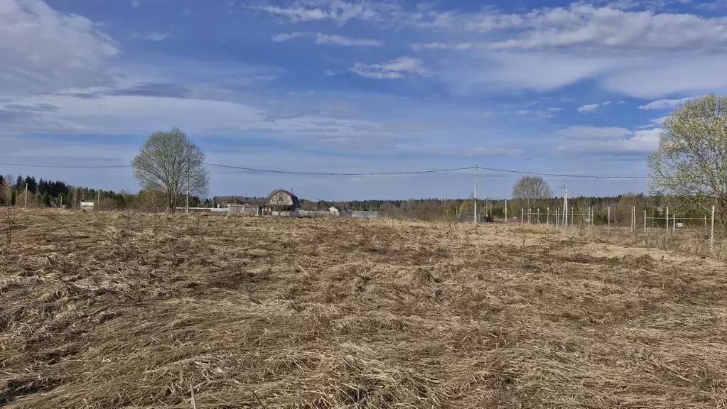 Участок в Московская область, Наро-Фоминский городской округ, д. ... - Фото 1
