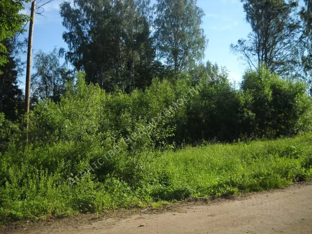 Участок в Новгородская область, Парфинский район, Федорковское с/пос, ... - Фото 0