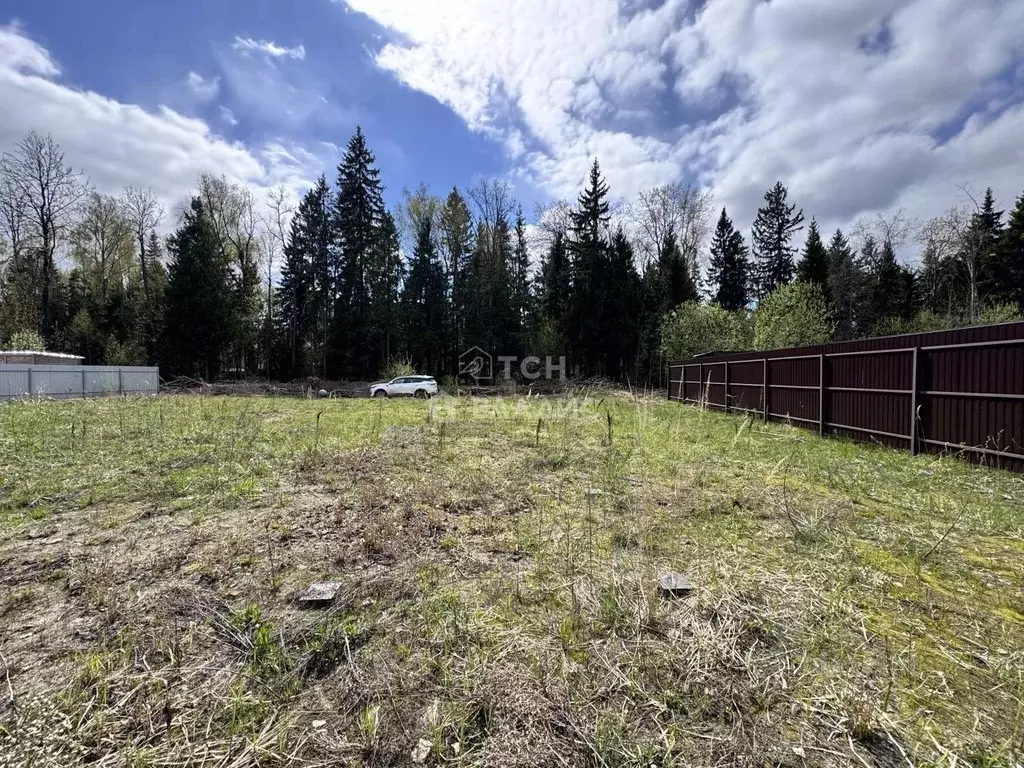 Участок в Московская область, Пушкинский городской округ, д. Могильцы, ... - Фото 1