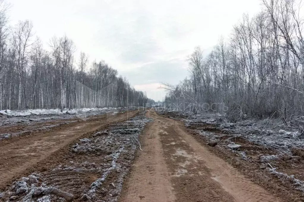 Участок в Тюменская область, Тюмень Тюменский-1 мкр,  (14.4 сот.) - Фото 0