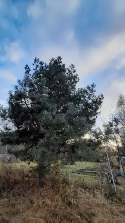 Участок в Нижегородская область, Кстовский муниципальный округ, с. ... - Фото 0