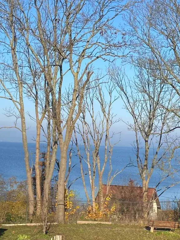 Дом в Калининградская область, Гурьевский муниципальный округ, пос. ... - Фото 2