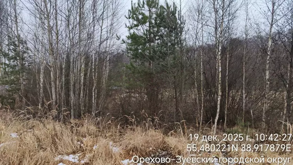 Участок в Московская область, Орехово-Зуевский городской округ, с. ... - Фото 2