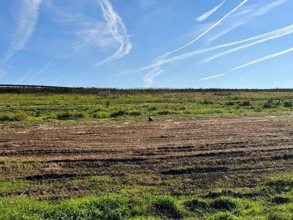 Участок в Московская область, Домодедово городской округ, пос. ... - Фото 2