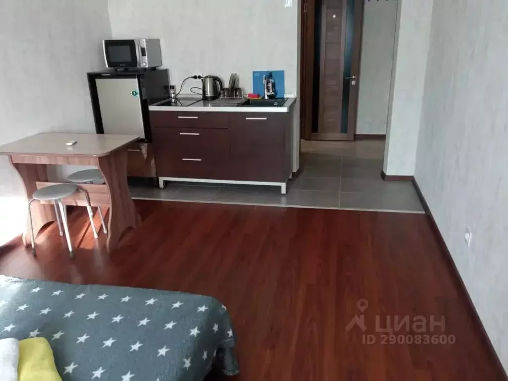 Студия Новосибирская область, Новосибирск ул. Александра Чистякова, ... - Фото 1