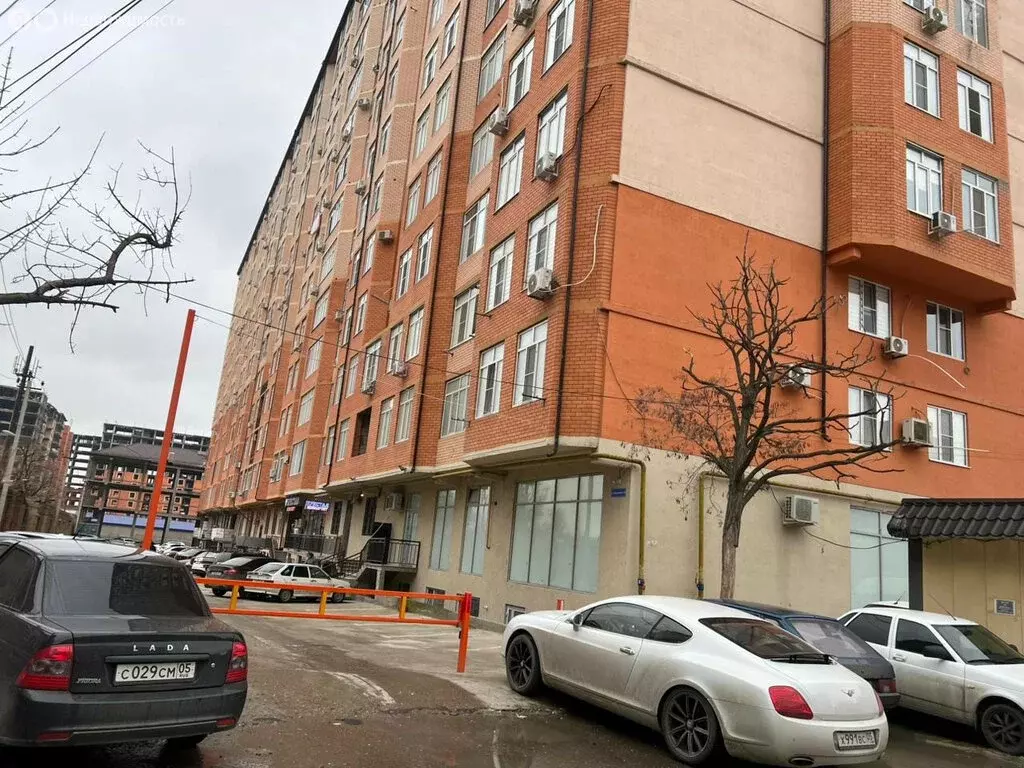 1-комнатная квартира: Махачкала, улица Примакова, 6 (51 м) - Фото 0