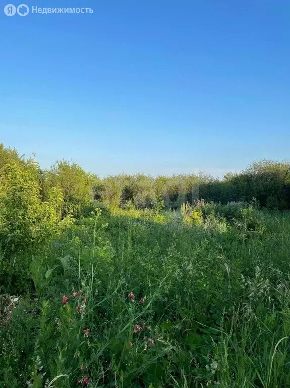 Участок в Таптыковский сельсовет, СНТ Шомырт (8 м) - Фото 2