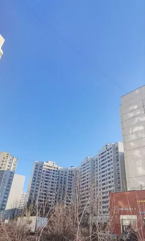 1-к кв. Москва Братиславская ул., 15К1 (38.0 м) - Фото 1