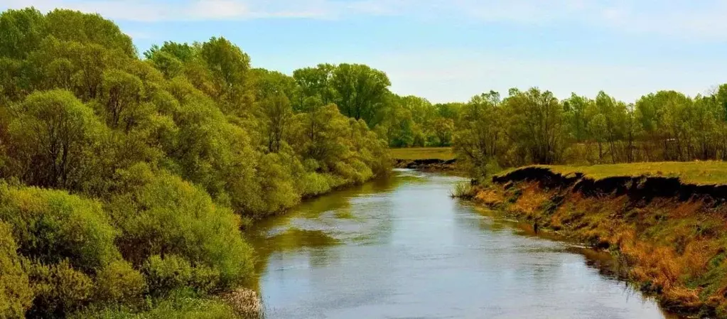 Участок в Челябинская область, Верхнеуральский муниципальный округ, с. ... - Фото 1