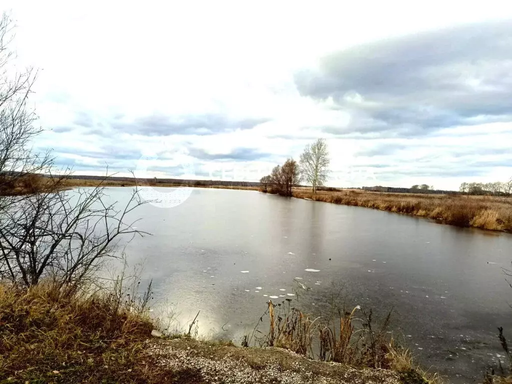 Участок в Свердловская область, Белоярский муниципальный округ, ... - Фото 2